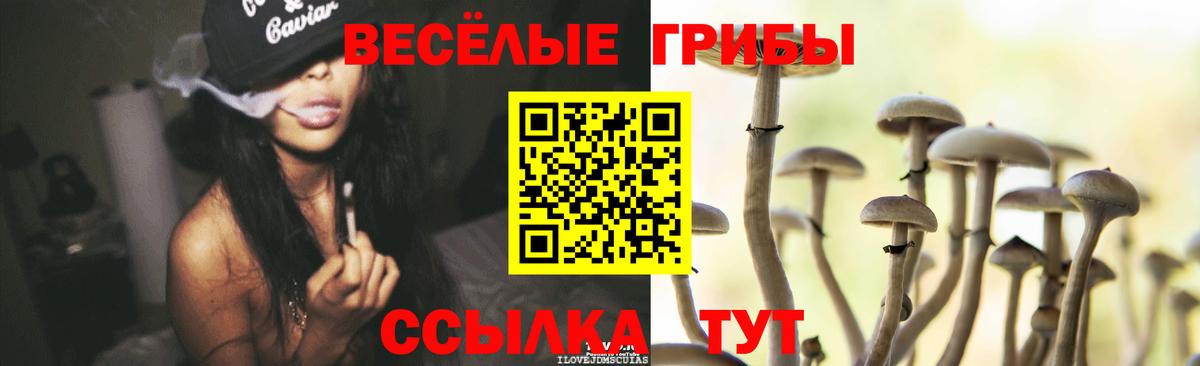 Галлюциногенные грибы мицелий  Псилоцибиновые грибы Magic Shrooms  Вход с VPN  Кудымкар 